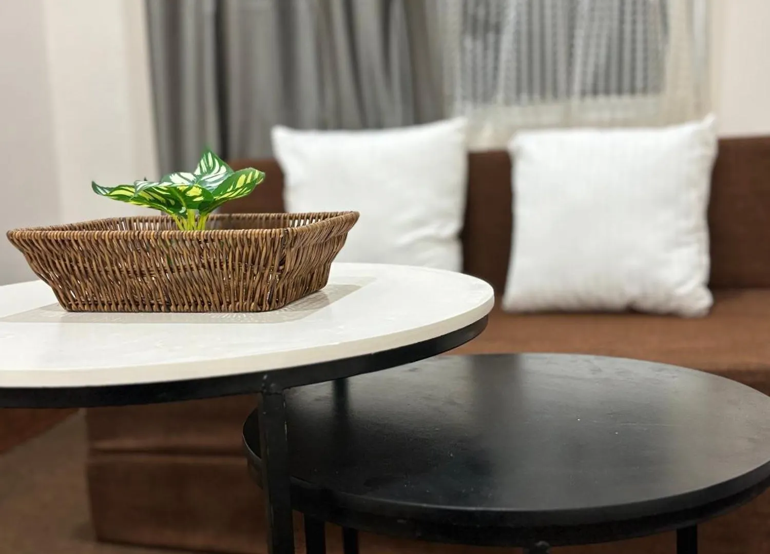 Hotel Terracotta Trails-1 Bedroom With Living Room Varanasi